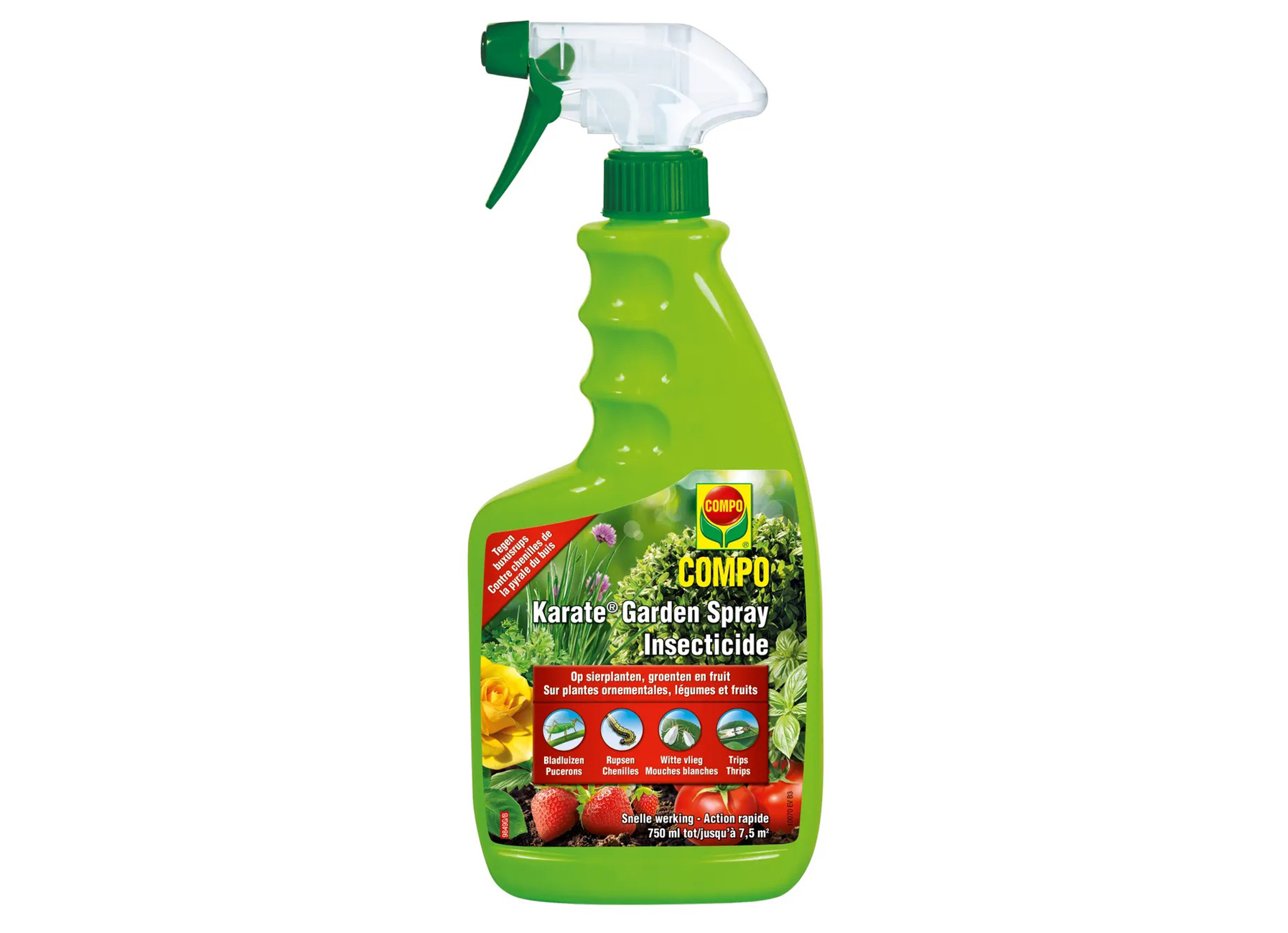 Hgx Contre Les Cafards 400ml - jardin - semences engrais phyto anti  nuisibles et protection oiseaux - insecticides tue insectes - hgx contre  les cafards 400ml